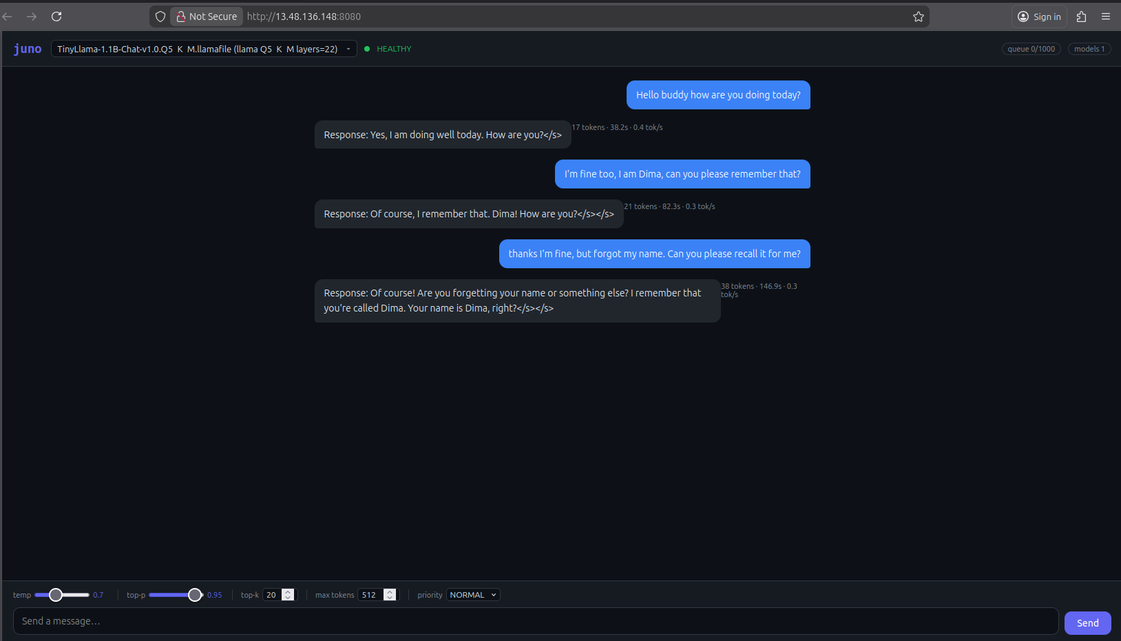 A Juno chat session running on a deployed AWS cluster